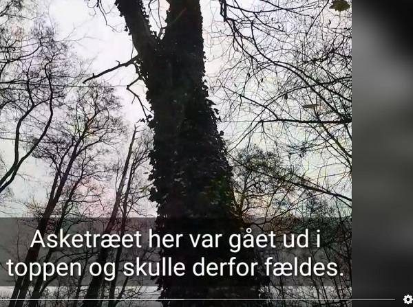 Få lavet video til din hjemmeside